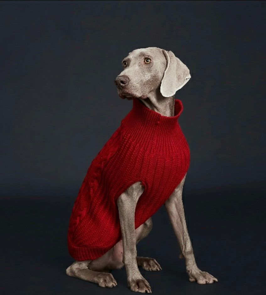Cozy Knitted Pet Sweater for Winter - Keep Your Dog Warm and Stylish